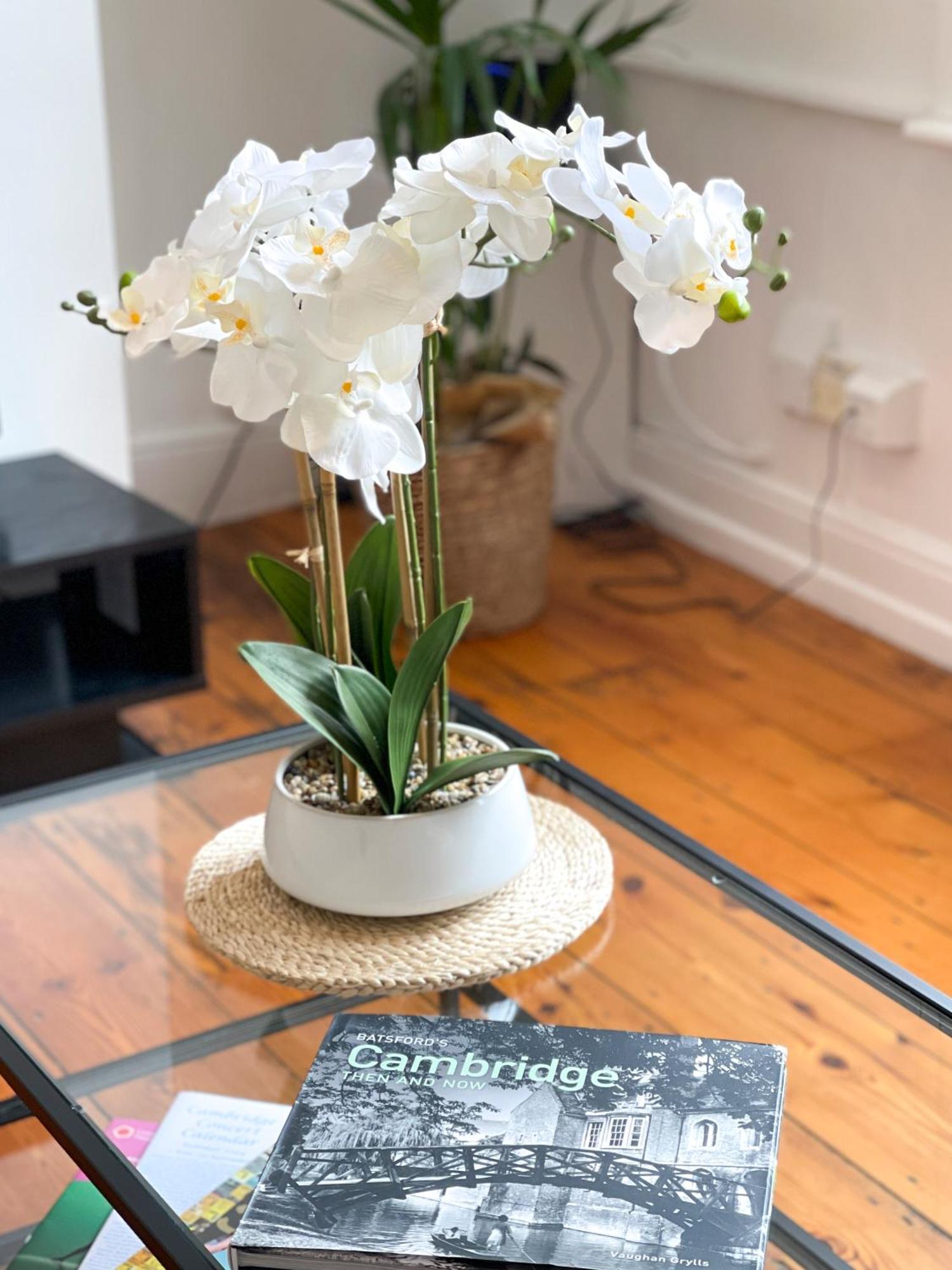 Fantastic Victorian House, Excellent City Location - Cambridge Homehost Eksteriør bilde